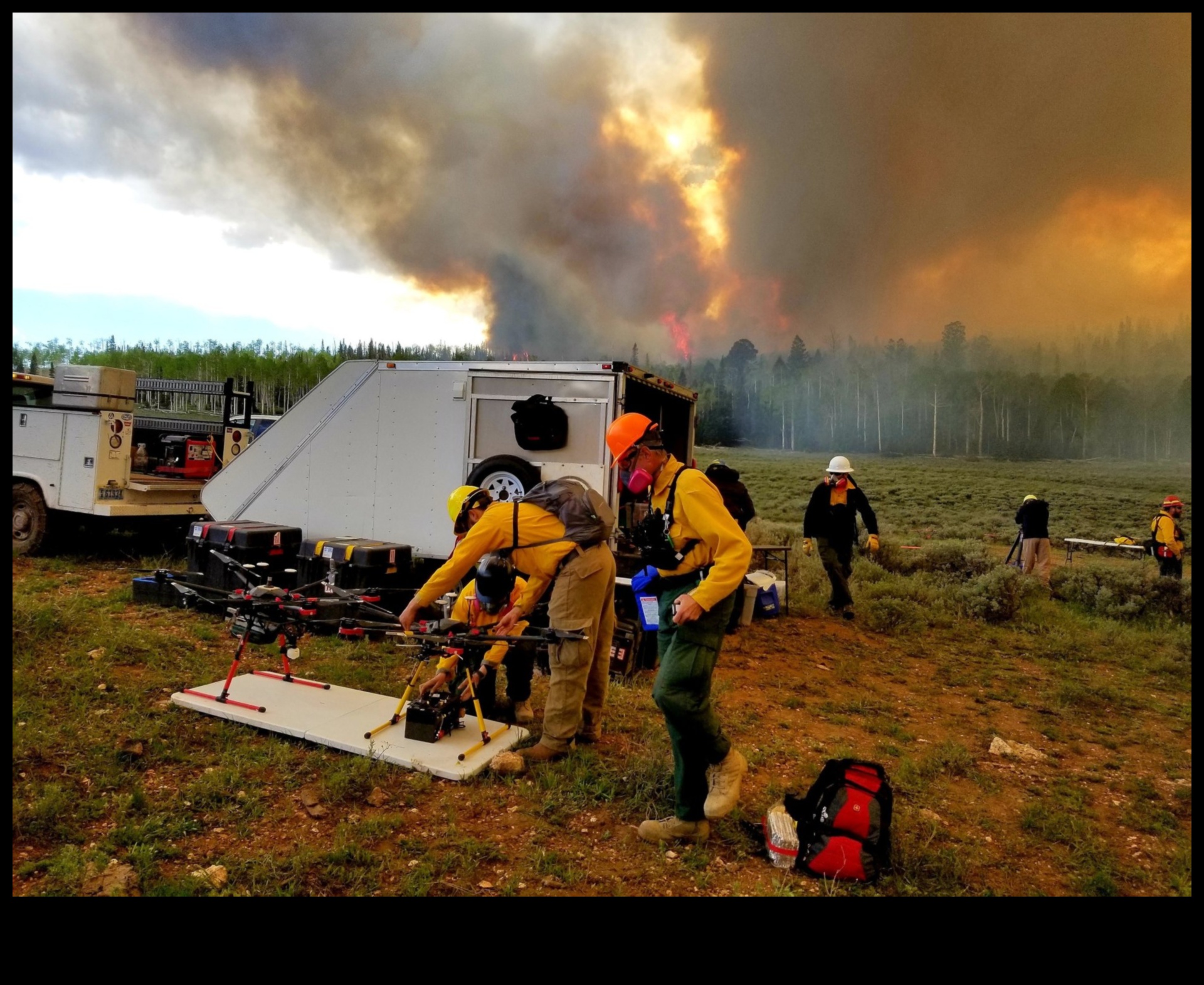 Bulaşıcı Fikirler: Wildfire gibi yayılan içerik hazırlamak