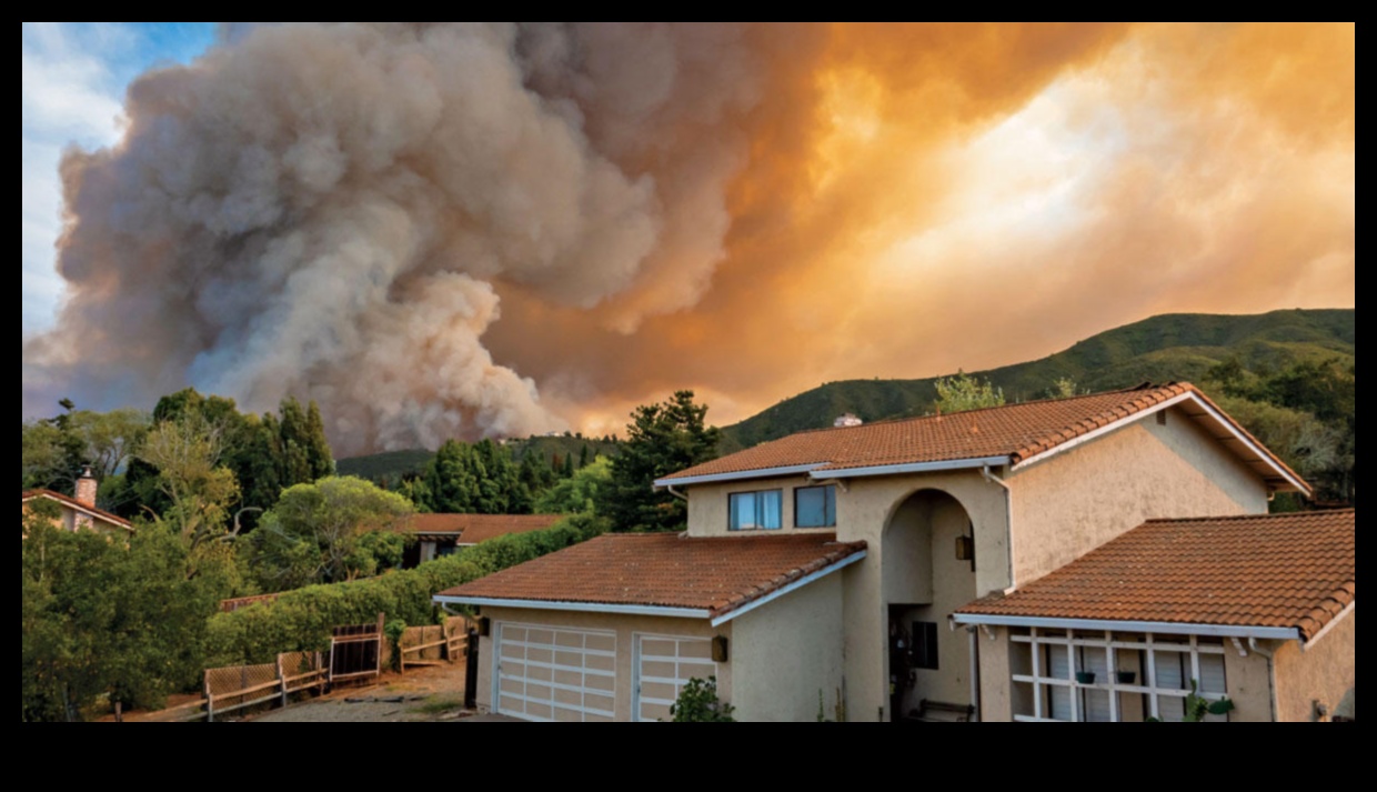 Bulaşıcı Fikirler: Wildfire gibi yayılan içerik hazırlamak